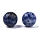 Perles de jaspe tache bleue naturelle G-R483-08-8mm-3