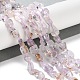 Natürlichen Amethyst Perlen Stränge&nbsp;G-P497-01C-26-2