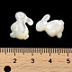 Cabuchones de conchas blancas naturales SSHEL-M022-15-3