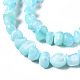 Coquille de trochid naturel / brins de perles de coquille de trocas SSHEL-N034-78-C03-3