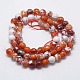 Natural Fire Agate Beads Strands G-L084-6mm-11-3