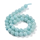 Grade A Natural Amazonite Beads Strands G-C046-01C-3