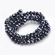 Electroplate Glass Beads Strands GLAA-K027-FP-A01-2