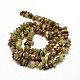 Natural Green Garnet Chip Beads Strands G-E271-97-2