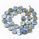 Drawbench Freshwater Shell Beads Strands SHEL-T014-012-3