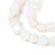 Нити бусин из натуральных пресноводных ракушек&nbsp;SHEL-N038-31-3