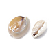 Perle di conchiglia di ciprea SSHEL-T004-03-2