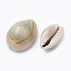 Natural Cowrie Shell Beads X-SSHEL-T004-04-2