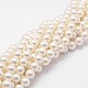 Chapelets de perles en coquille BSHE-L026-03-6mm-1