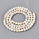 Нити бусин из натуральных пресноводных раковин цвета ab BSHE-T014-40C-2