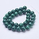 Chapelets de perles en malachite synthétique G-D855-02-12mm-2
