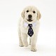 Collar animal con pajarita para mascotas mega poliéster MP-MP0001-02S-8