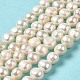 Natural Cultured Freshwater Pearl Beads Strands PEAR-E017-10-2