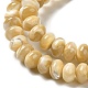 Brins de perles de coquillages naturels de troca SHEL-K006-25A-3