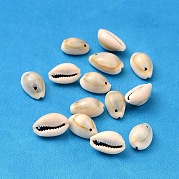 Подвески из натуральной каури BSHE-S049