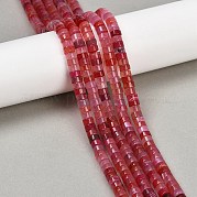 Окрашенные естественный агат бисер пряди G-U030-B01-04