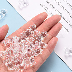 Прозрачные акриловые подвески&nbsp;TACR-S151-01B-205