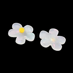 Непрозрачные акриловые подвески FIND-K024-02B