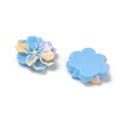 Cabochons di opaco resina&nbsp;RE-F001-02