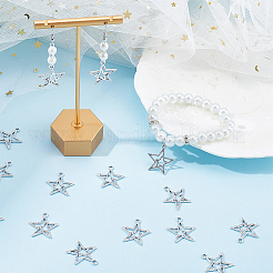100 pièces pendentifs en alliage de style tibétain&nbsp;FIND-SC0006-78