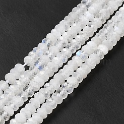 Бусины из натурального радужного лунного камня G-I341-05