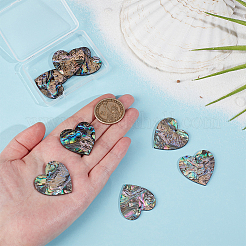 8 шт. подвески из натуральной ракушки пауа/ракушки абалона SHEL-BC0001-048A