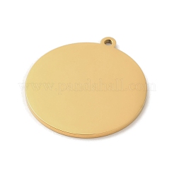 Pendentifs en acier inoxydable 304 avec placage ionique (IP)&nbsp;STAS-K270-16G