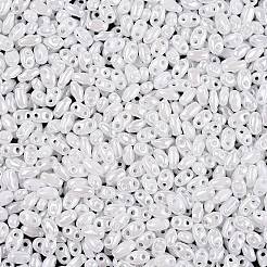 Непрозрачные цвета блестящие стеклянные бусины&nbsp;SEED-T006-02L