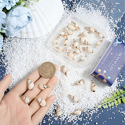 30 шт. гальванизированные спиральные подвески-ракушки&nbsp;SSHEL-SC0001-29B