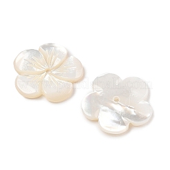 Резные бусины из натуральной белой ракушки SSHEL-I026-12F-07