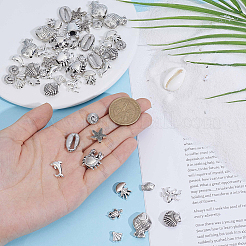 60pcs 12 Arten tibetanische Legierungsperlen&nbsp;FIND-PA0001-35