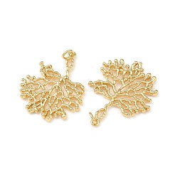 Латунные подвески&nbsp;KK-L255-01G-04