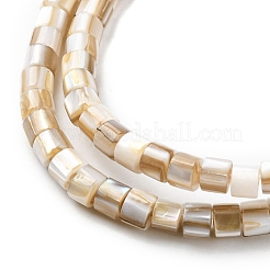 Нити бусин из натуральных пресноводных ракушек X-SHEL-R129-05