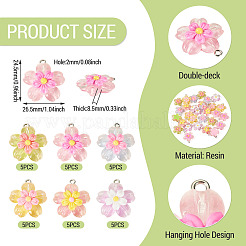 30шт 6 цвета прозрачные подвески из смолы&nbsp;RESI-TA0004-74