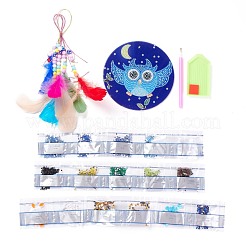 Pittura diamante fai da te appeso rete/rete intrecciata con kit pendenti di piume&nbsp;DIY-I084-07
