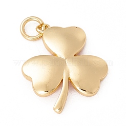 Ciondoli smaltato in ottone&nbsp;KK-P217-03G-01