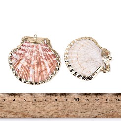 Galvanisierte Anhänger aus natürlichen Muscheln&nbsp;SSHEL-T018-17