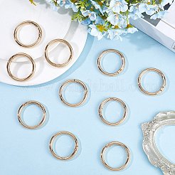 10 шт. Кольца пружинные затворные из сплава FIND-SP0001-38G