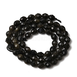 Естественный золотистый отлив обсидиан бисер пряди&nbsp;G-K376-F11-01