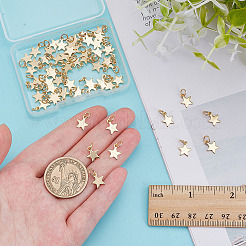 60 шт. подвески из нержавеющей стали 304&nbsp;PALLOY-ME00005