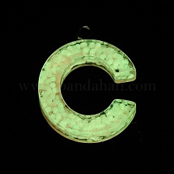 Pendentifs en résine lumineux&nbsp;X1-RESI-I059-C01