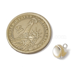 Подвески из натуральных ракушек-трохус с латунными петлями&nbsp;PALLOY-JF03586-02