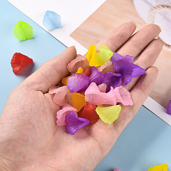 Прозрачные колпачки акриловая бисера&nbsp;PL551M