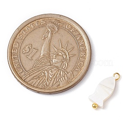 Натуральные пресноводные ракушки-талисманы&nbsp;PALLOY-JF02820