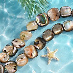 1 hebra de cuentas de concha de paua natural&nbsp;BSHE-PA0001-07
