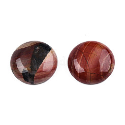 Natürliche rote Regenbogenjaspis-Cabochons&nbsp;G-TAC0010-02C