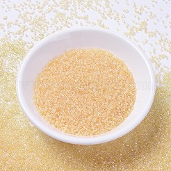 MIYUKIデリカビーズ  シリンダー  日本製シードビーズ  11/0  （db1478)透明な淡いアプリコットの光沢  1.3x1.6mm  穴：0.8mm  約10000個/袋  50 G /袋&nbsp;SEED-X0054-DB1478