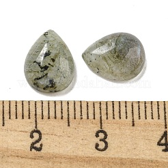 Natur Labradorit Cabochons&nbsp;G-Q173-02C-07