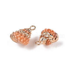 Подвески из натуральной морской раковины SSHEL-N038-44