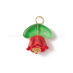 Стеклянные подвески PALLOY-JF03355